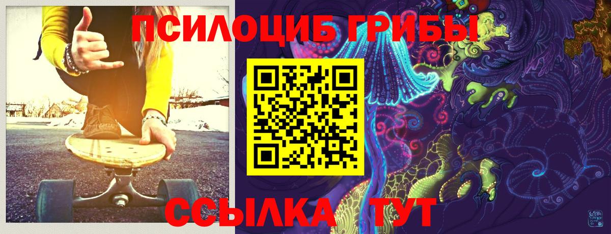 цены   Вход с VPN  Пугачёв  Псилоцибиновые грибы мухоморы  Галлюциногенные грибы мицелий 